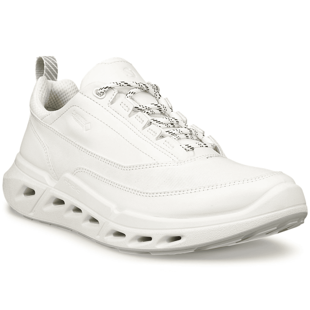 Кроссовки ECCO Biom 720 W White
