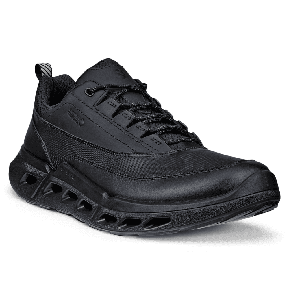 Кроссовки ECCO Biom 720 M Black