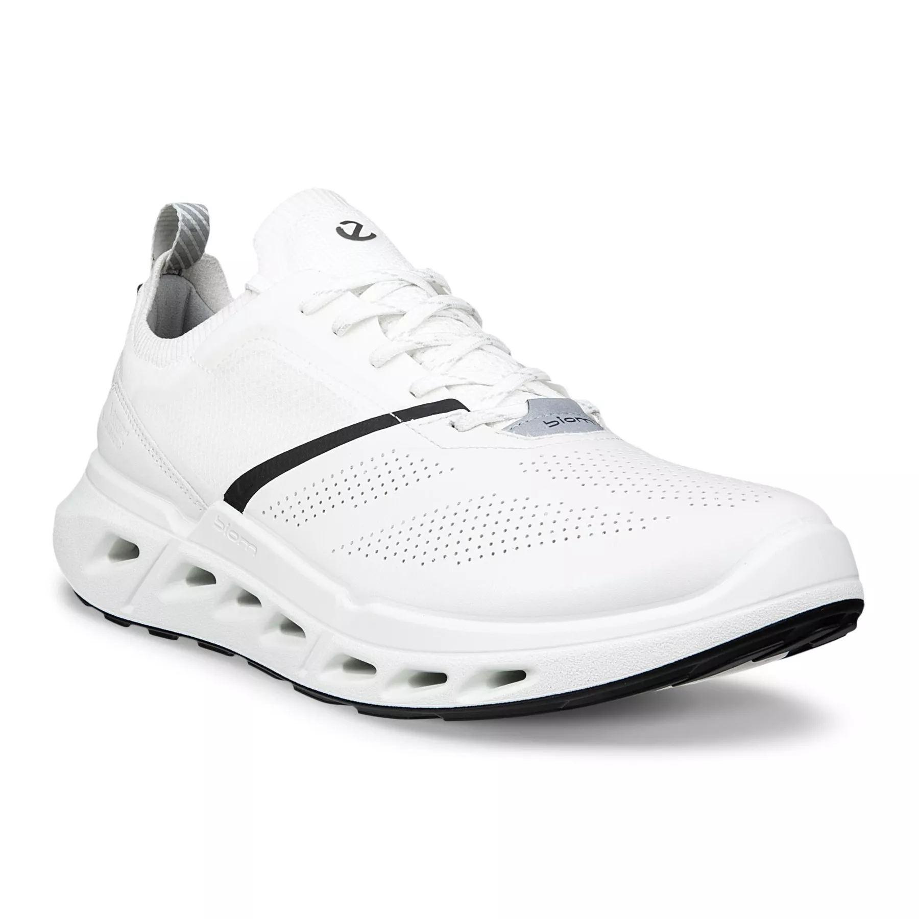 Кроссовки ECCO Biom 720 M White