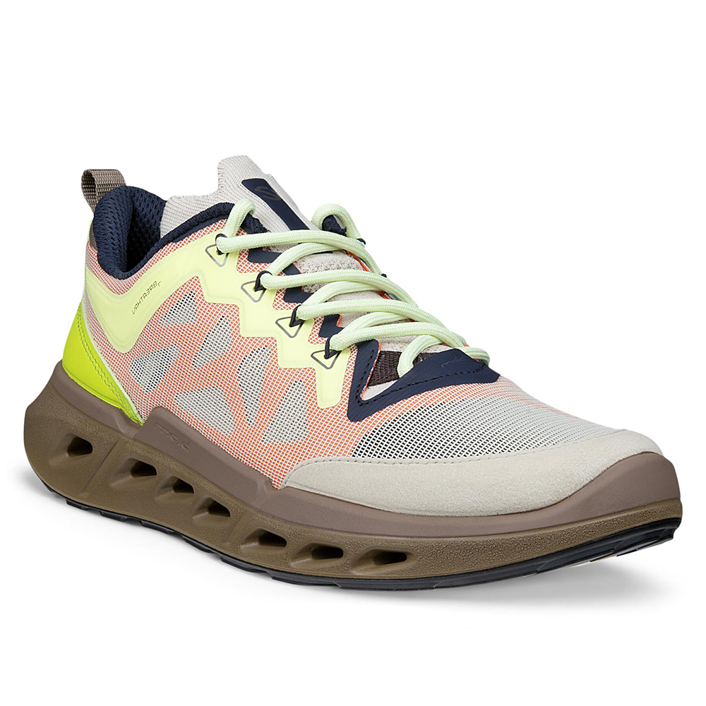 Кроссовки ECCO Biom 720 W Ibis