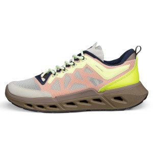 ECCO Biom 720 W Ibis