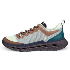 ECCO Biom 720 M Lime Cream