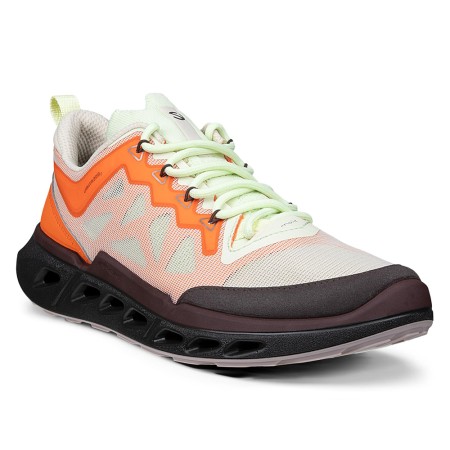 ECCO Biom 720 W Ibis
