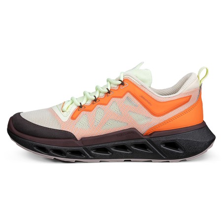 ECCO Biom 720 W Ibis