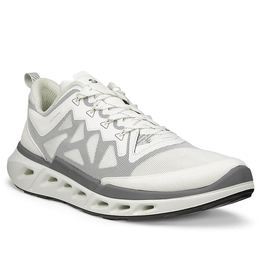 Кроссовки ECCO Biom 720 M White
