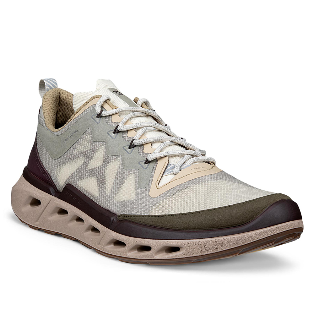 Кроссовки ECCO Biom 720 M Gravel