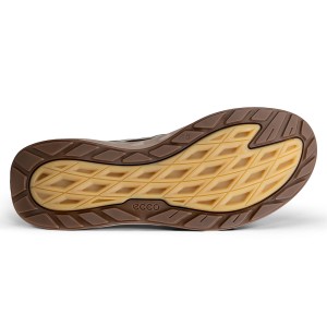 ECCO Biom 720 M Gravel