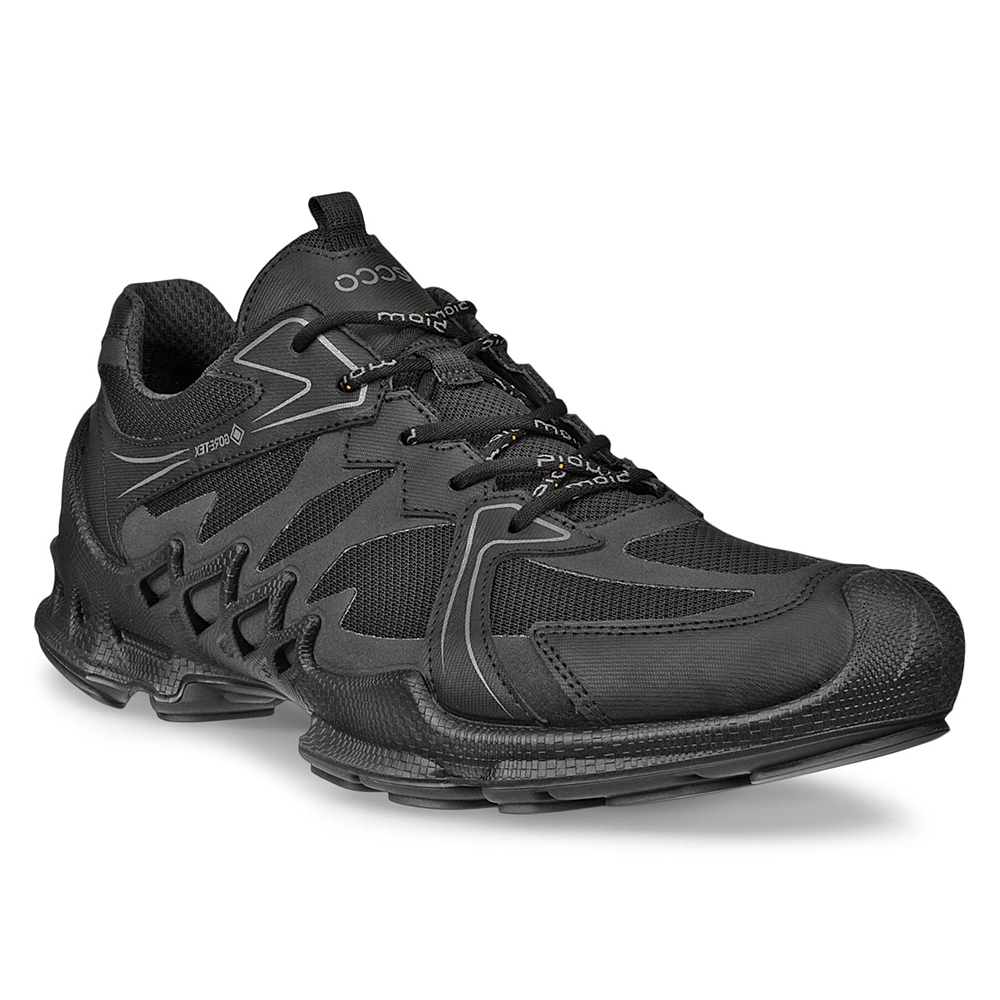 Кроссовки ECCO Biom Aex M Black