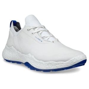 ECCO M Golf Biom H5 White