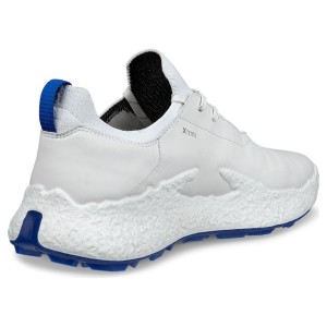 ECCO M Golf Biom H5 White