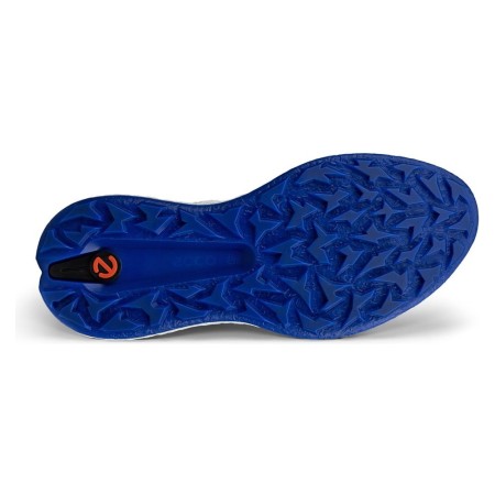 ECCO M Golf Biom H5 White