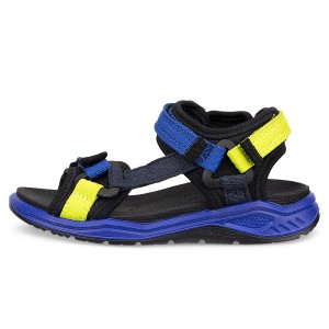 ECCO X-Trinsic K Virtual