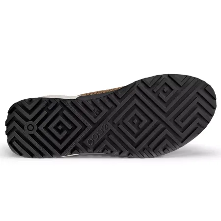 ECCO Biom 2.0 M Nutmeg Brown