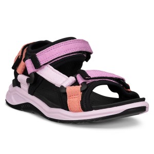 ECCO X-Trinsic K Lilac Chiffon