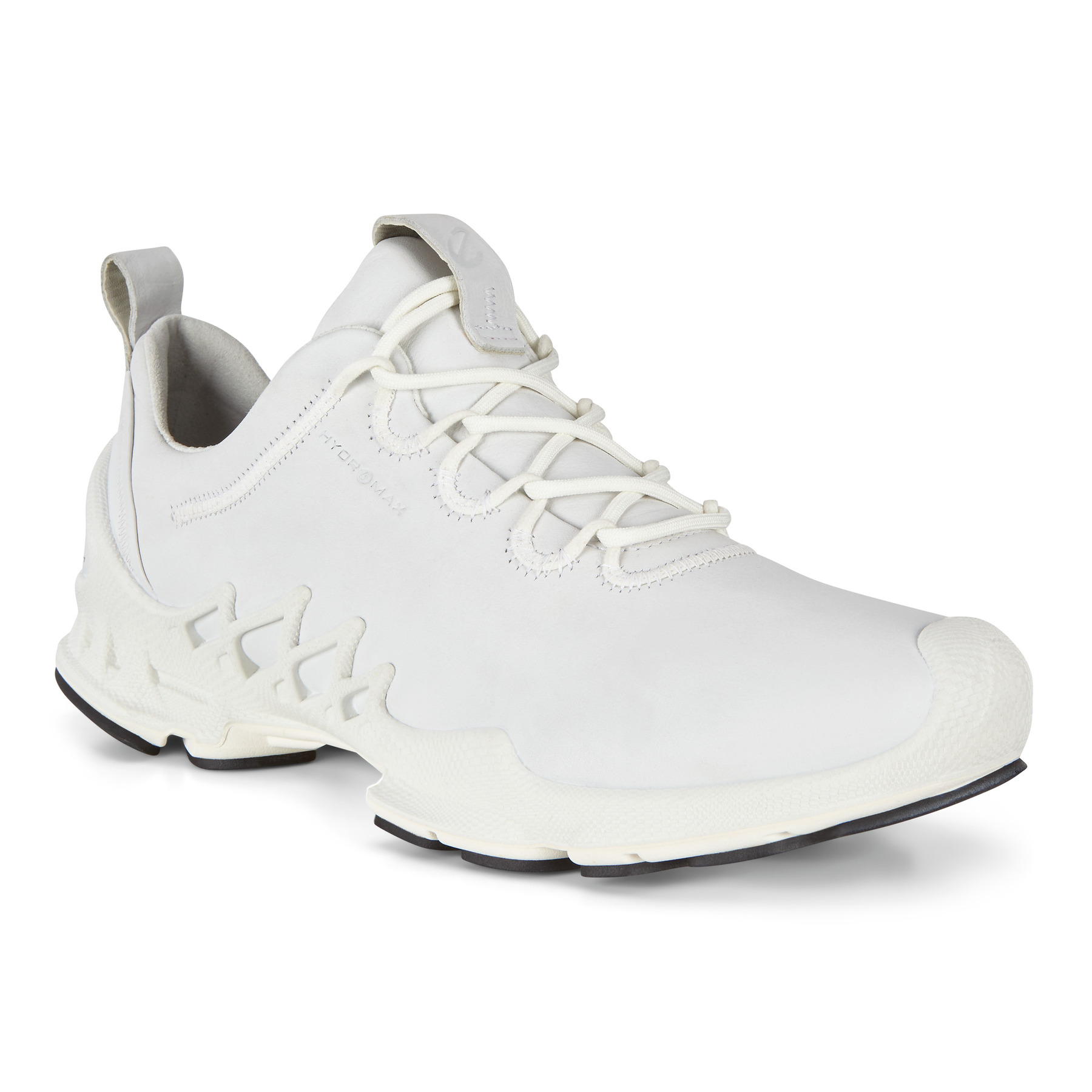Кроссовки ECCO BIOM AEX M