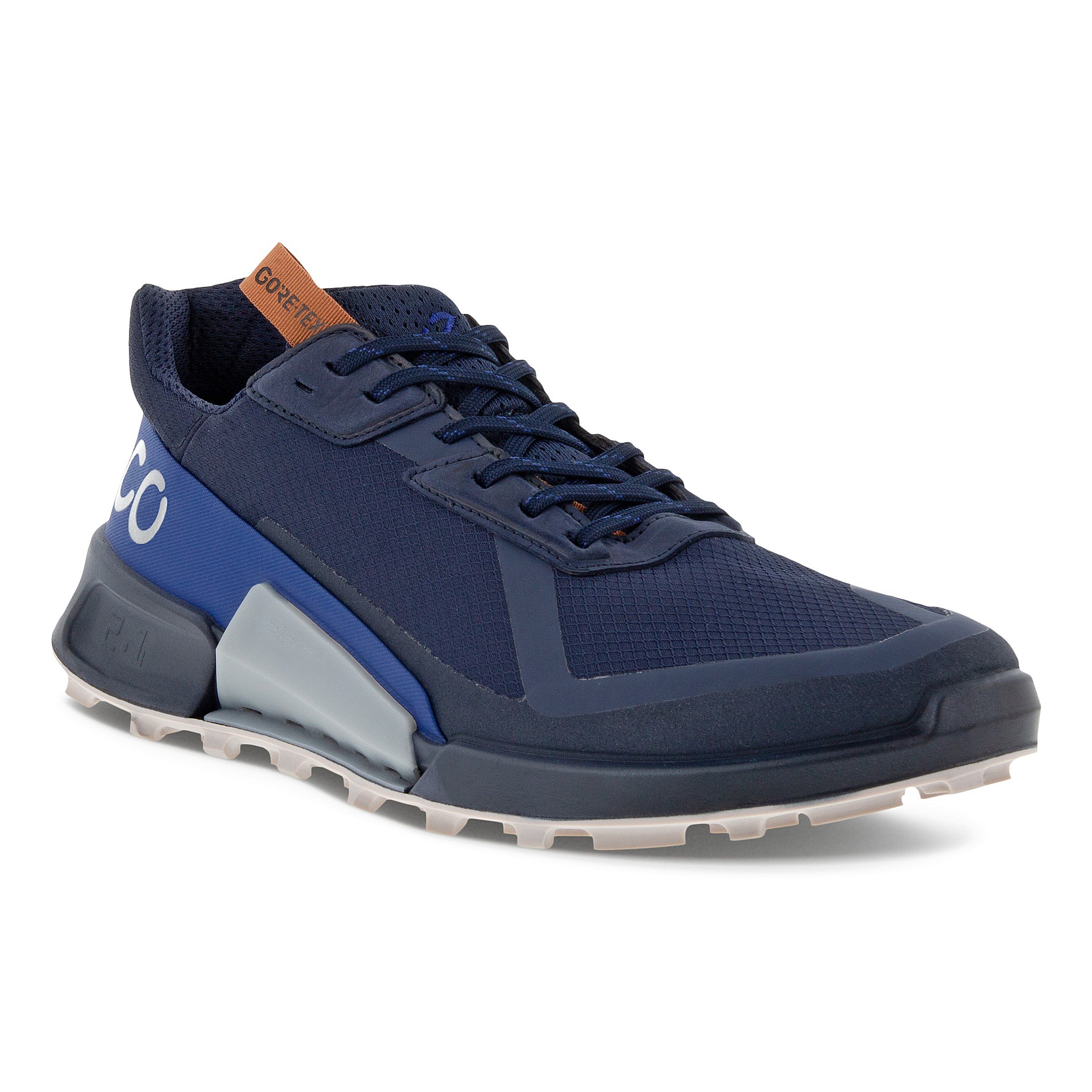 Кроссовки ECCO BIOM 21 M