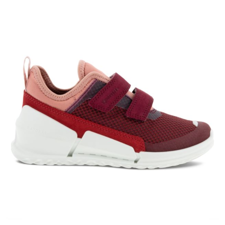 ECCO BIOM K1