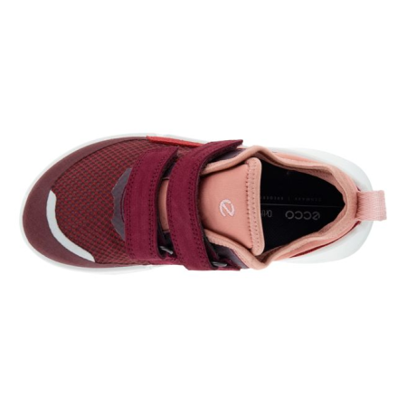 ECCO BIOM K1