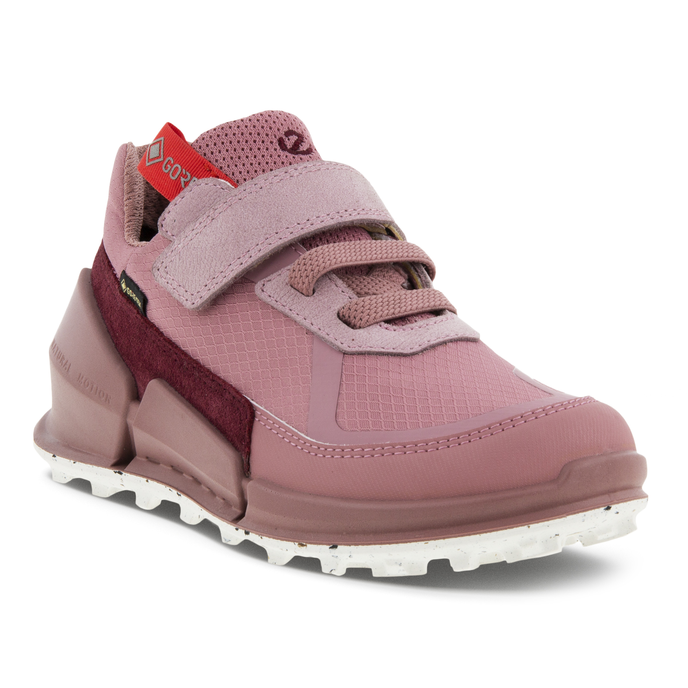 Кроссовки ECCO Biom K2