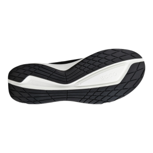 ECCO Biom 2.2 M
