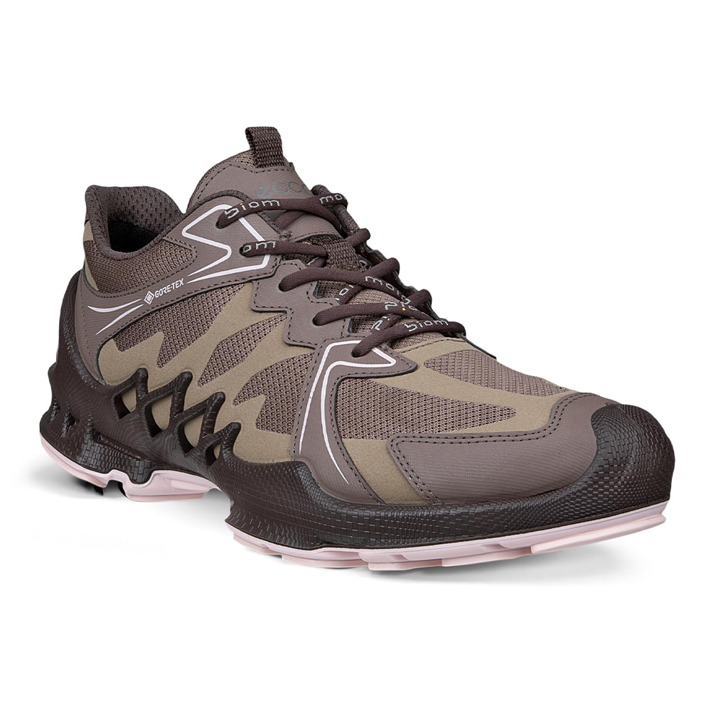 Кроссовки ECCO Biom AEX W (Brown)