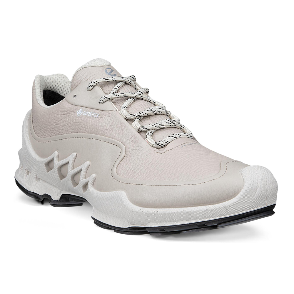 Кроссовки ECCO Biom AEX W
