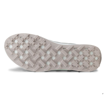 ECCO Biom 2.1 X Mountain W Gravel