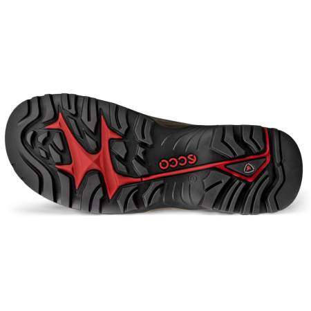 ECCO Offroad M Mocha