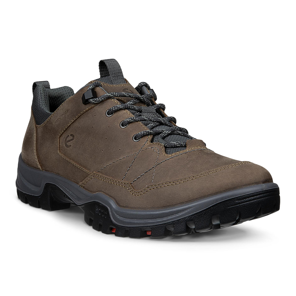 Кроссовки ECCO Receptor Trekk M Nutmeg Brown