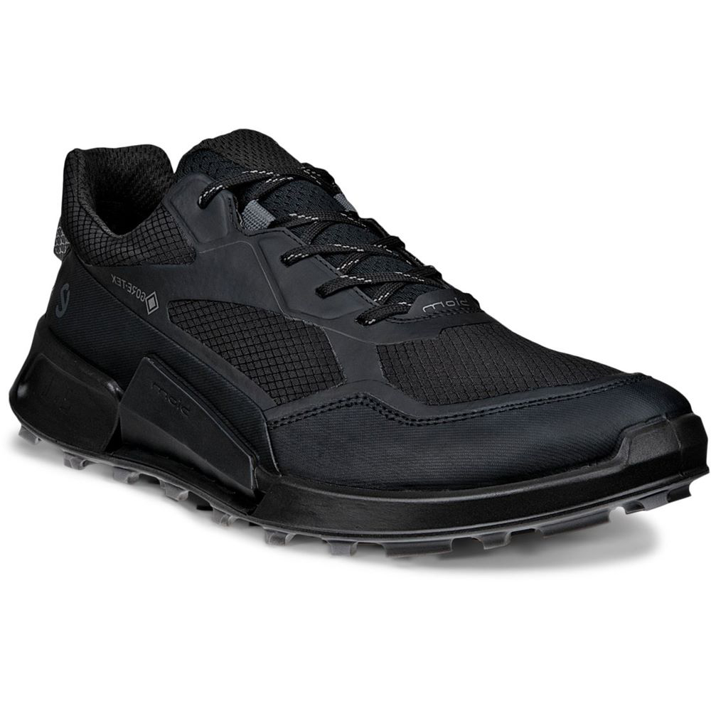 Sneakers ECCO Biom 2.1 X Mountain M Black